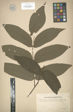 LE 01003171