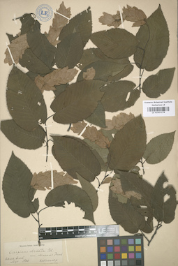 LE 01003178