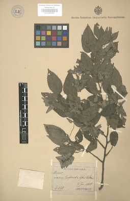 LE 01003190