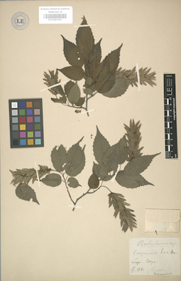 LE 01003191