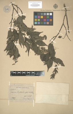 LE 01003192