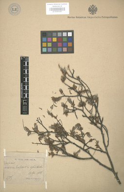 LE 01003193