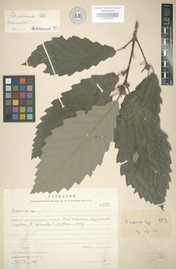 LE 01003197