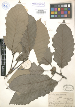 LE 01003202