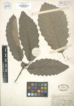 LE 01003204