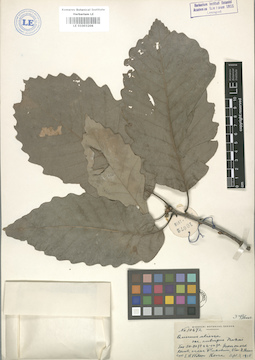 LE 01003206
