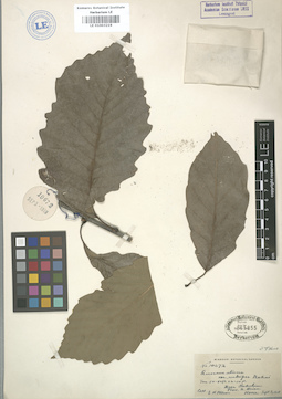 LE 01003219
