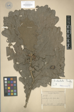 LE 01003222