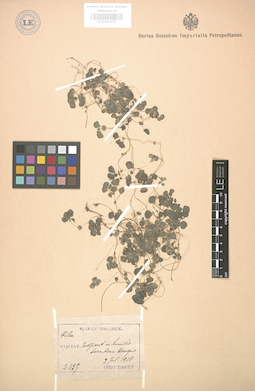 LE 01003271