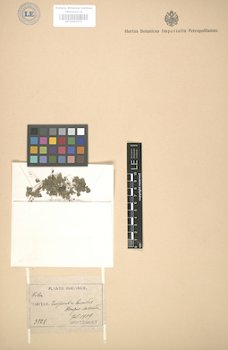 LE 01003272