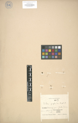 LE 01003273