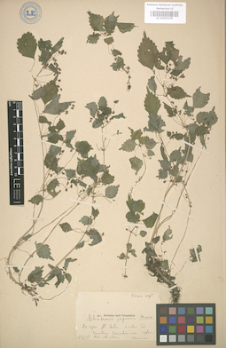 LE 01003278