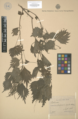 LE 01003284