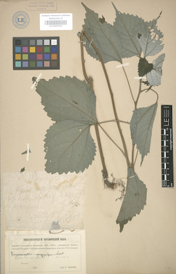 LE 01003293