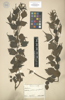 LE 01003298