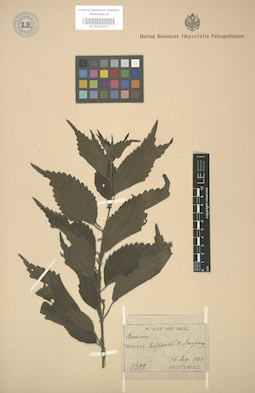 LE 01003301