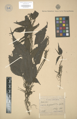 LE 01003303