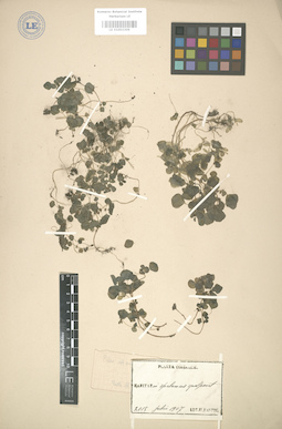 LE 01003309