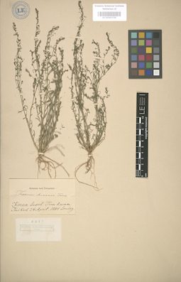 LE 01003326