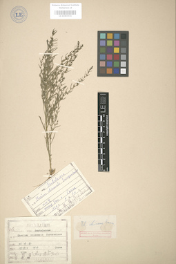 LE 01003331