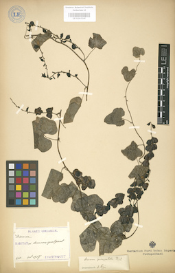LE 01003345