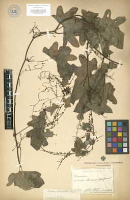 LE 01003348