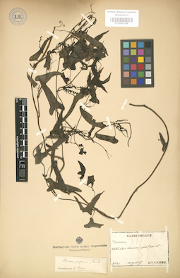 LE 01003358