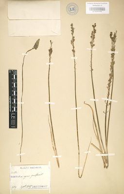 LE 01003362