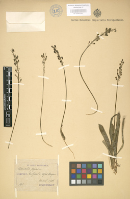 LE 01003363