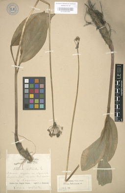 LE 01003390