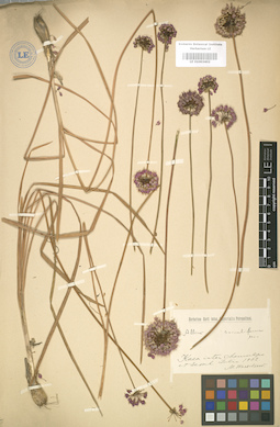 LE 01003402
