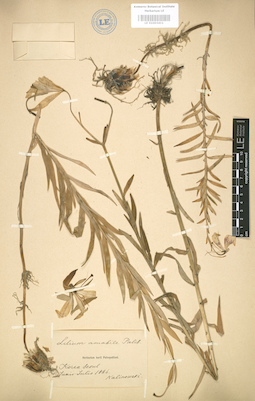 LE 01003411