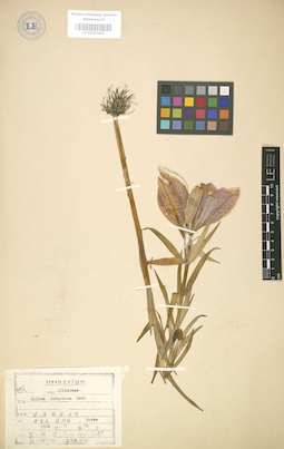 LE 01003419