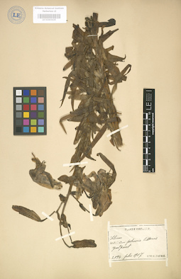 LE 01003425