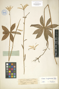 LE 01003436