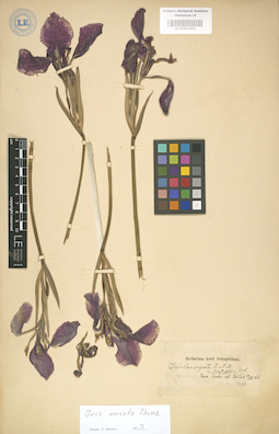 LE 01003444