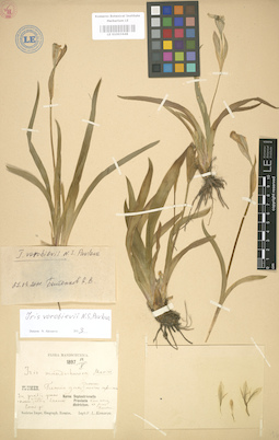 LE 01003448