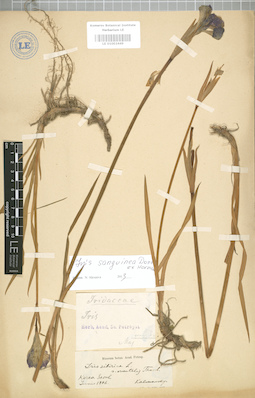 LE 01003449
