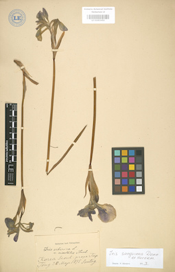 LE 01003450