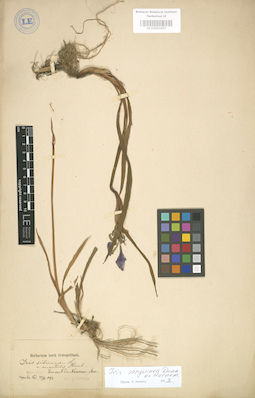 LE 01003453