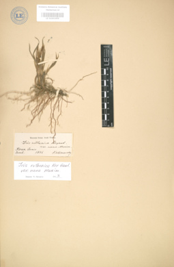 LE 01003459