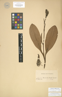 LE 01003498
