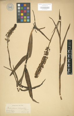 LE 01003501