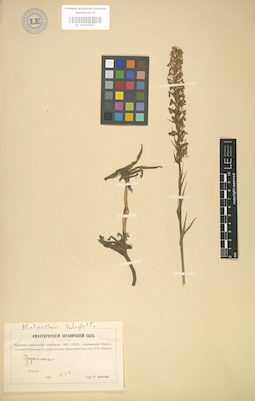 LE 01003502