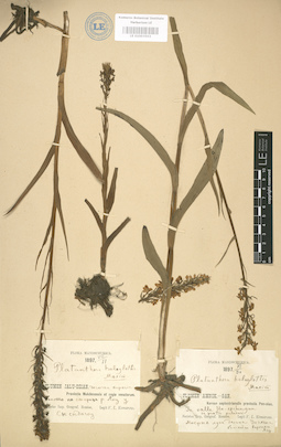 LE 01003503