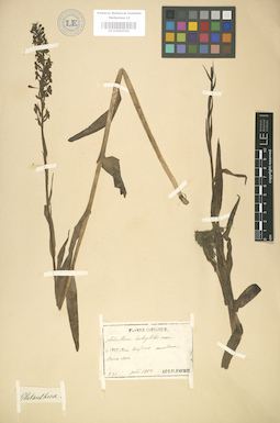 LE 01003504
