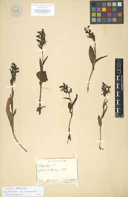 LE 01003505
