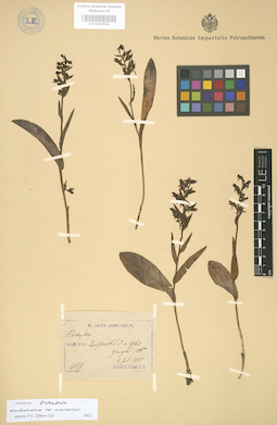 LE 01003506