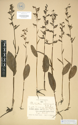 LE 01003507