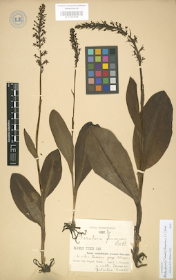 LE 01003508